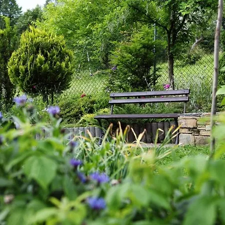 홈스테이 U Mikolajczykow