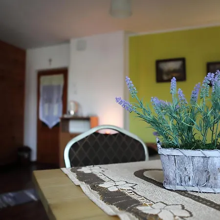 홈스테이 U Mikolajczykow 슈차브니차