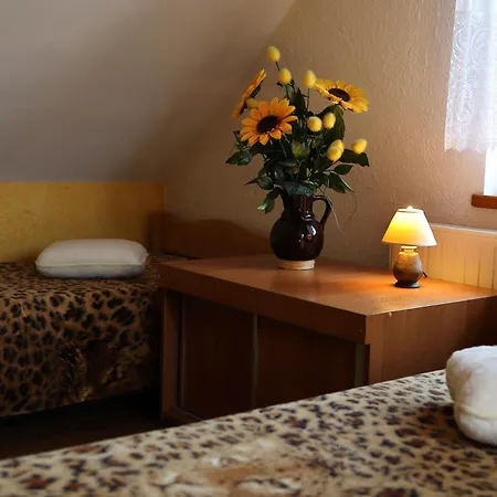 홈스테이 U Mikolajczykow *