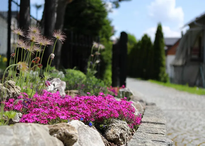 U Mikolajczykow שצ'בניצה