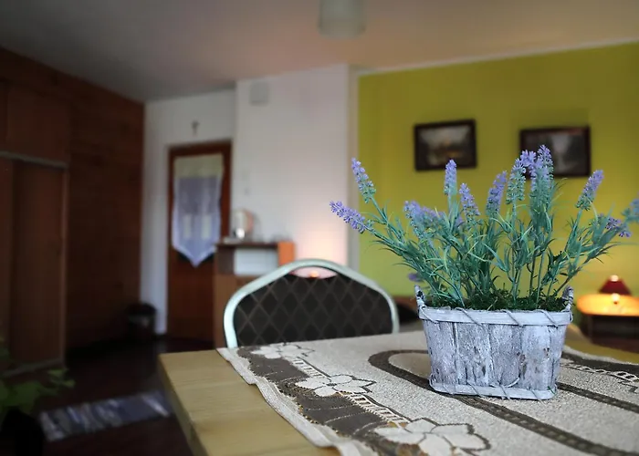 בית אירוח U Mikolajczykow שצ'בניצה